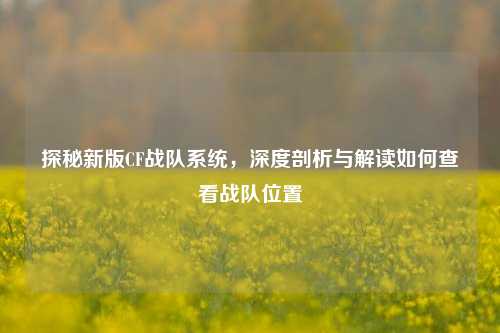 探秘新版CF战队系统，深度剖析与解读如何查看战队位置