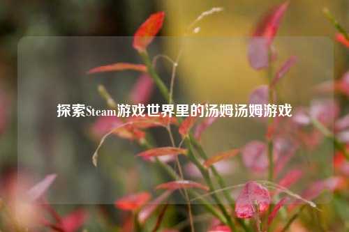 探索Steam游戏世界里的汤姆汤姆游戏