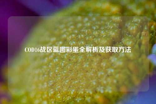 COD16战区蓝图彩蛋全解析及获取方法