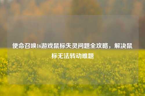 使命召唤16游戏鼠标失灵问题全攻略，解决鼠标无法转动难题
