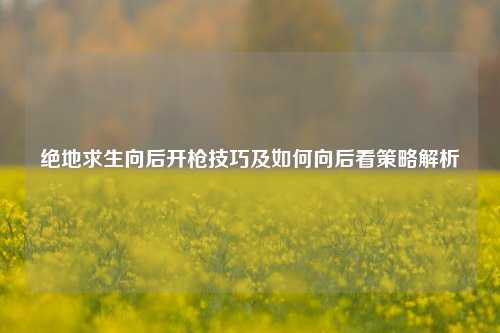 绝地求生向后开枪技巧及如何向后看策略解析