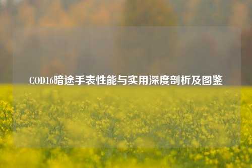 COD16暗途手表性能与实用深度剖析及图鉴