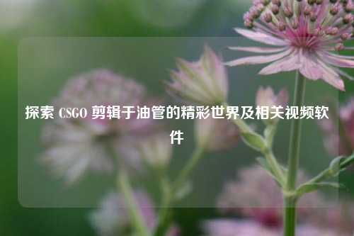 探索 CSGO 剪辑于油管的精彩世界及相关视频软件