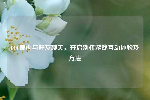 LOL局内与好友聊天,开启别样游戏互动体验及方法