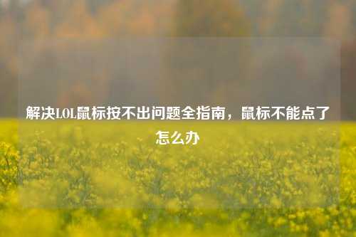 解决LOL鼠标按不出问题全指南,鼠标不能点了怎么办