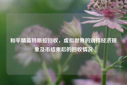 和平精英特斯拉回收,虚拟世界的别样经济现象及币结束后的回收情况