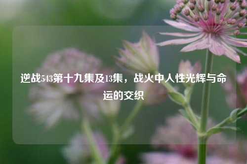 逆战543第十九集及13集,战火中人性光辉与命运的交织