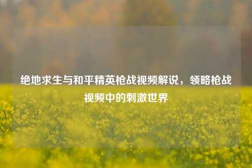 绝地求生与和平精英枪战视频解说,领略枪战视频中的刺激世界