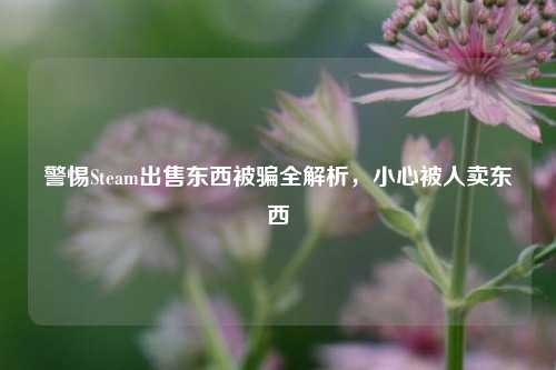 警惕Steam出售东西被骗全解析,小心被人卖东西