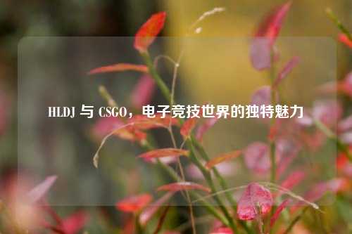HLDJ 与 CSGO，电子竞技世界的独特魅力