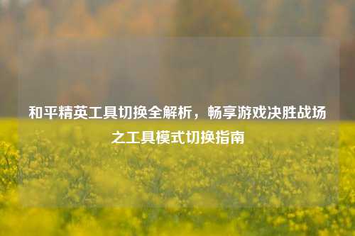 和平精英工具切换全解析,畅享游戏决胜战场之工具模式切换指南
