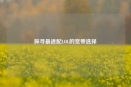 探寻最适配LOL的宽带选择