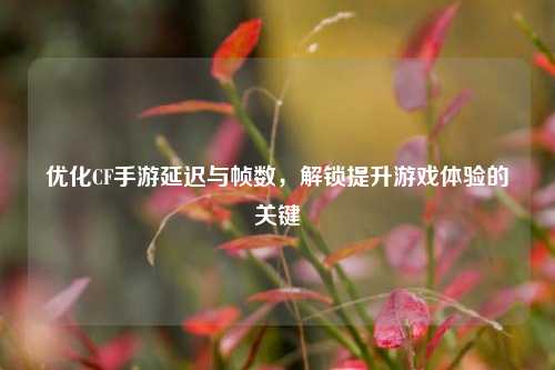 优化CF手游延迟与帧数,解锁提升游戏体验的关键
