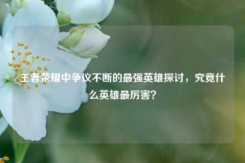 王者荣耀中争议不断的最强英雄探讨，究竟什么英雄最厉害？