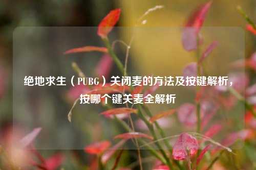 绝地求生(PUBG)关闭麦的方法及按键解析,按哪个键关麦全解析