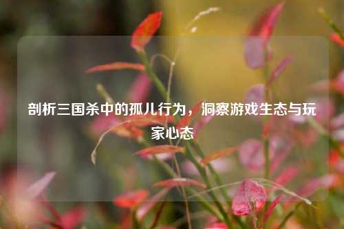 剖析三国杀中的孤儿行为,洞察游戏生态与玩家心态