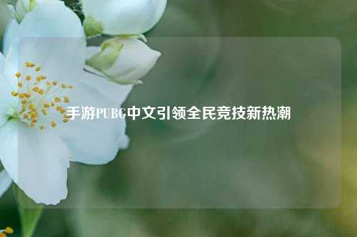 手游PUBG中文引领全民竞技新热潮