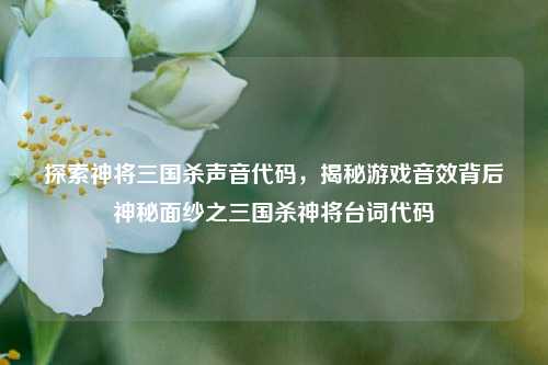 探索神将三国杀声音代码,揭秘游戏音效背后神秘面纱之三国杀神将台词代码