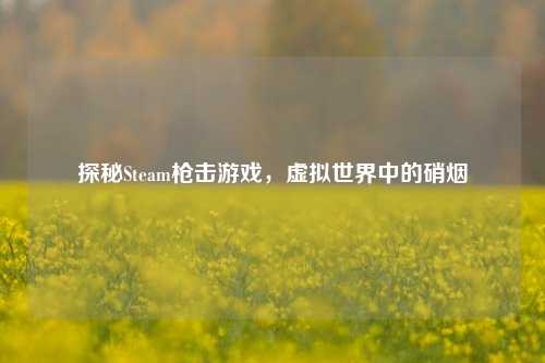 探秘Steam枪击游戏，虚拟世界中的硝烟