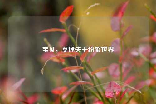 宝贝，莫迷失于纷繁世界
