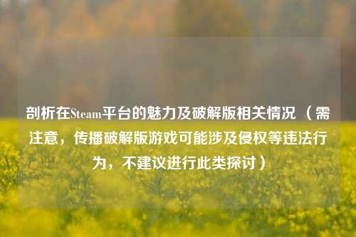 剖析在Steam平台的魅力及破解版相关情况 (需注意,传播破解版游戏可能涉及侵权等违法行为,不建议进行此类探讨)