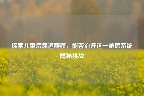 探索儿童后尿道瓣膜，能否治好这一泌尿系统隐秘挑战
