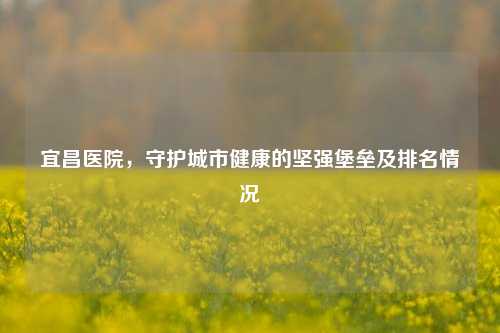 宜昌医院，守护城市健康的坚强堡垒及排名情况