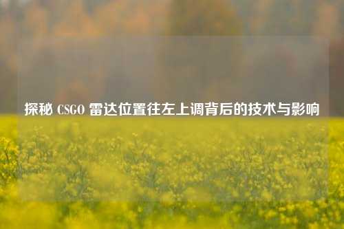 探秘 CSGO 雷达位置往左上调背后的技术与影响