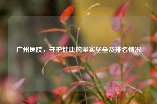 广州医院，守护健康的坚实堡垒及排名情况