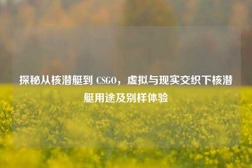 探秘从核潜艇到 CSGO，虚拟与现实交织下核潜艇用途及别样体验