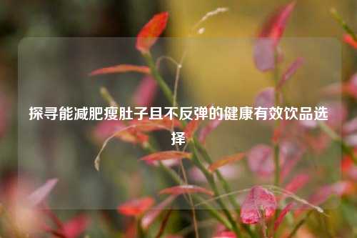 探寻能减肥瘦肚子且不反弹的健康有效饮品选择