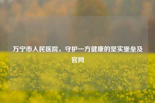 万宁市人民医院，守护一方健康的坚实堡垒及官网