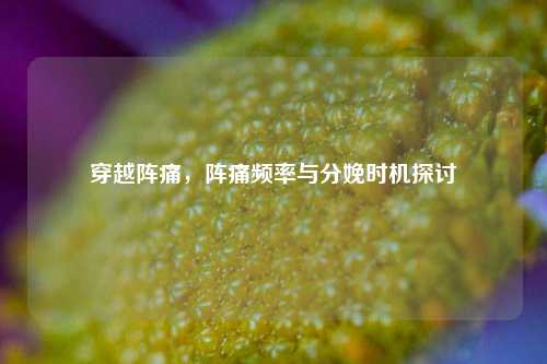 穿越阵痛，阵痛频率与分娩时机探讨