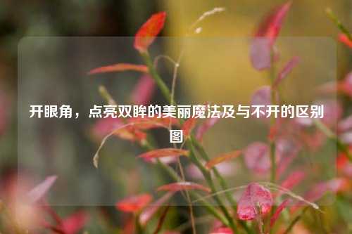 开眼角，点亮双眸的美丽魔法及与不开的区别图