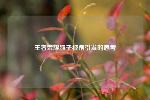 王者荣耀猴子被削引发的思考