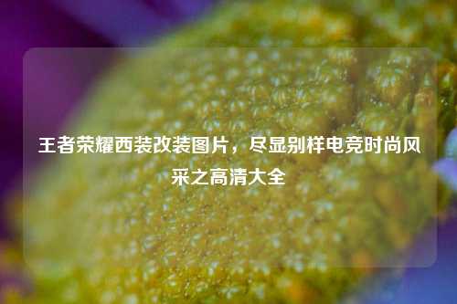 王者荣耀西装改装图片,尽显别样电竞时尚风采之高清大全