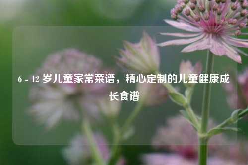 6 - 12 岁儿童家常菜谱，精心定制的儿童健康成长食谱