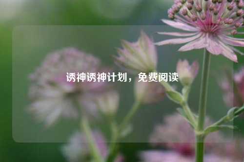 诱神诱神计划,免费阅读