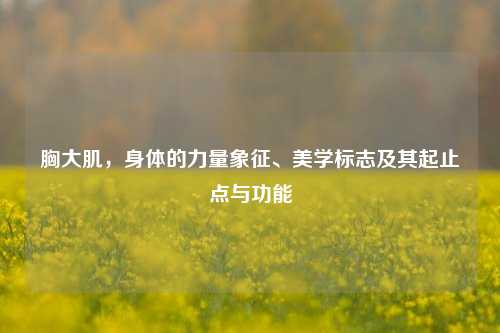 胸大肌，身体的力量象征、美学标志及其起止点与功能