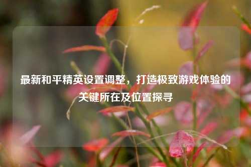 最新和平精英设置调整，打造极致游戏体验的关键所在及位置探寻