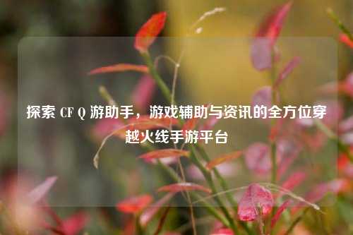 探索 CF Q 游助手，游戏辅助与资讯的全方位穿越火线手游平台