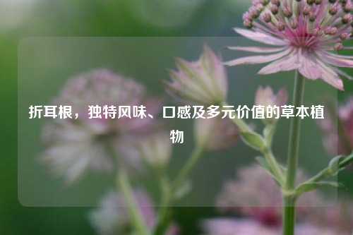 折耳根，独特风味、口感及多元价值的草本植物