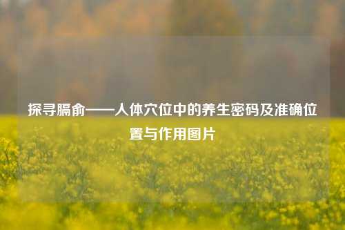 探寻膈俞——人体穴位中的养生密码及准确位置与作用图片