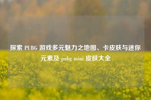 探索 PUBG 游戏多元魅力之地图、卡皮肤与迷你元素及 pubg mini 皮肤大全
