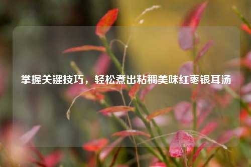 掌握关键技巧，轻松煮出粘稠美味红枣银耳汤