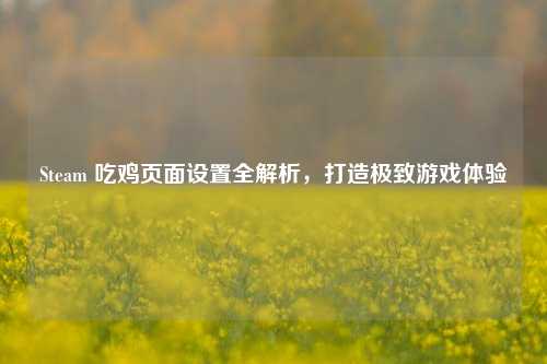Steam 吃鸡页面设置全解析,打造极致游戏体验