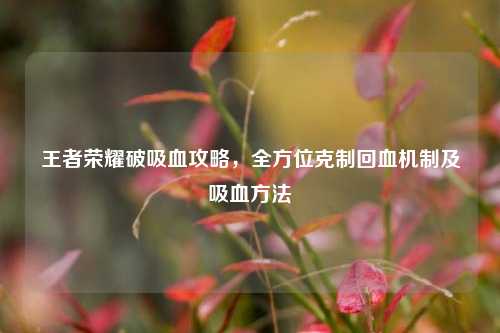 王者荣耀破吸血攻略，全方位克制回血机制及吸血方法