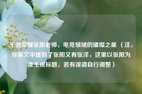 王者荣耀张阳老师，电竞领域的璀璨之星 （注，你原文中提到了张阳又有张洋，这里以张阳为准生成标题，若有误请自行调整）
