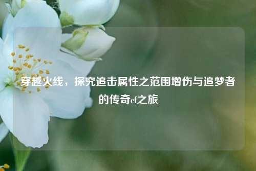 穿越火线，探究追击属性之范围增伤与追梦者的传奇cf之旅