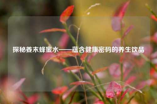 探秘姜末蜂蜜水——蕴含健康密码的养生饮品